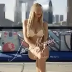 Companion in Dubai