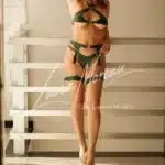 Sophisticated Brunette Escort Paris