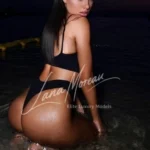 Glamorous Escort Vienna Night Beach