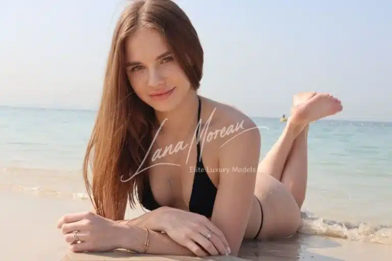 stella8